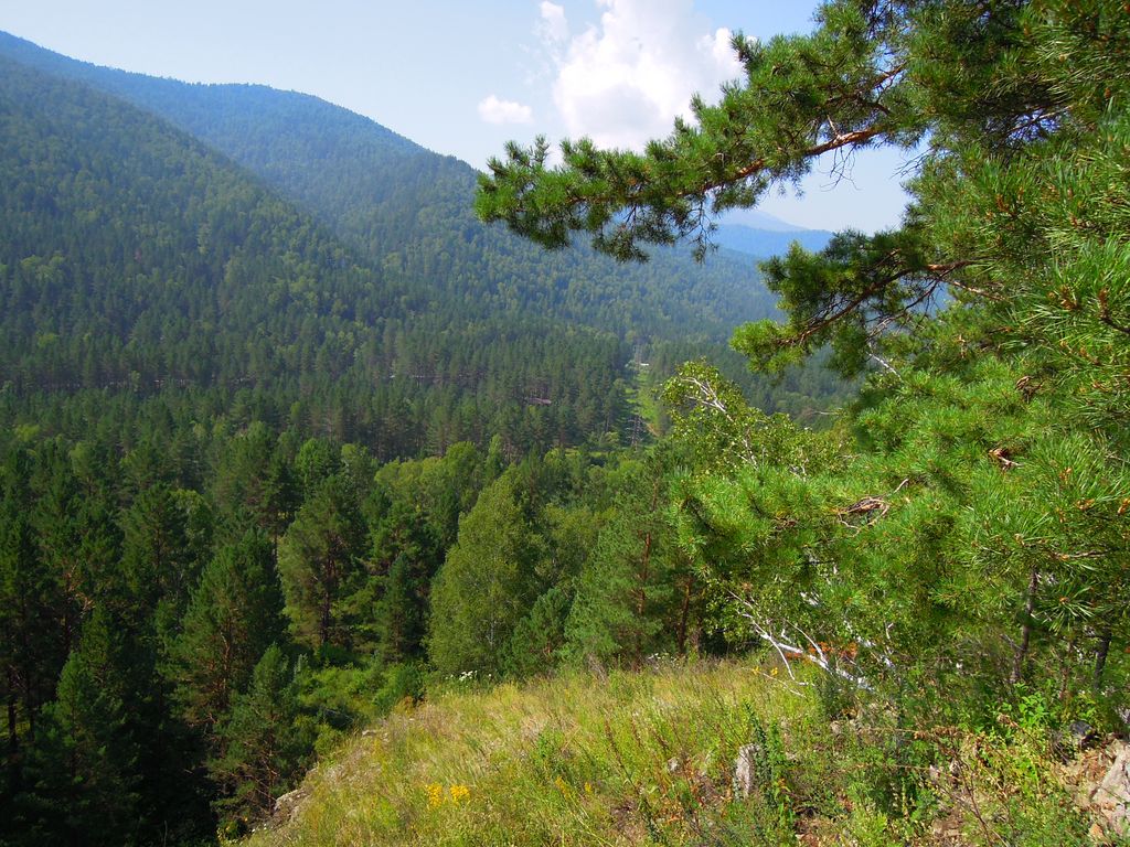 Уй, image of landscape/habitat.