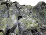 Image of landscape