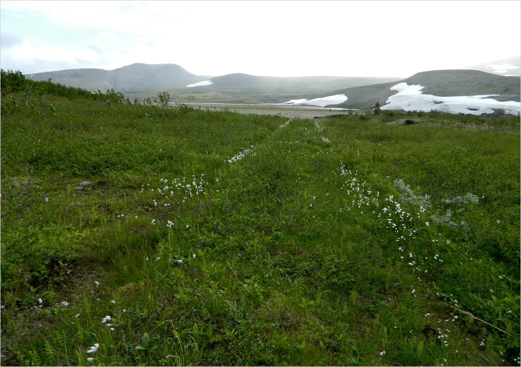 Кершор, image of landscape/habitat.