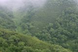 Image of landscape