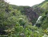 Image of landscape