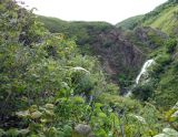 Водопад Салют, image of landscape/habitat.