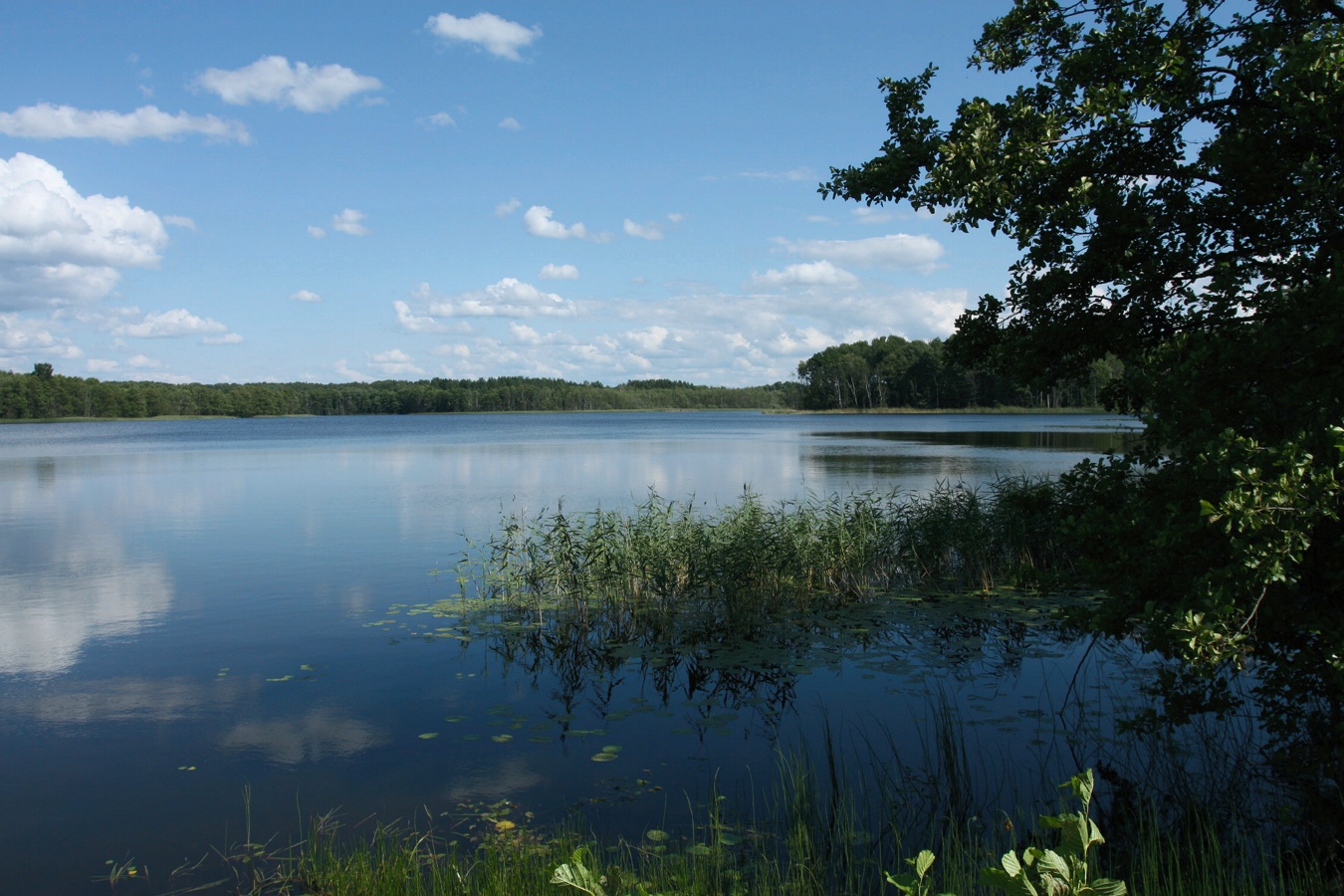 Островито, image of landscape/habitat.