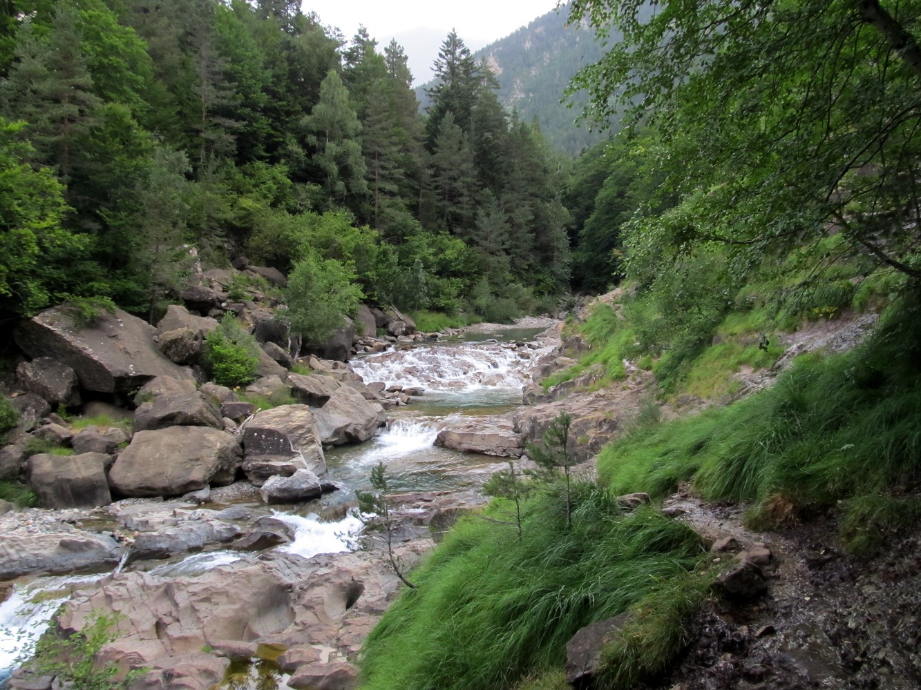 Valle de Bujaruelo, image of landscape/habitat.