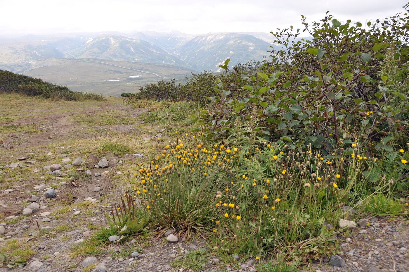 Вилючинский перевал, image of landscape/habitat.