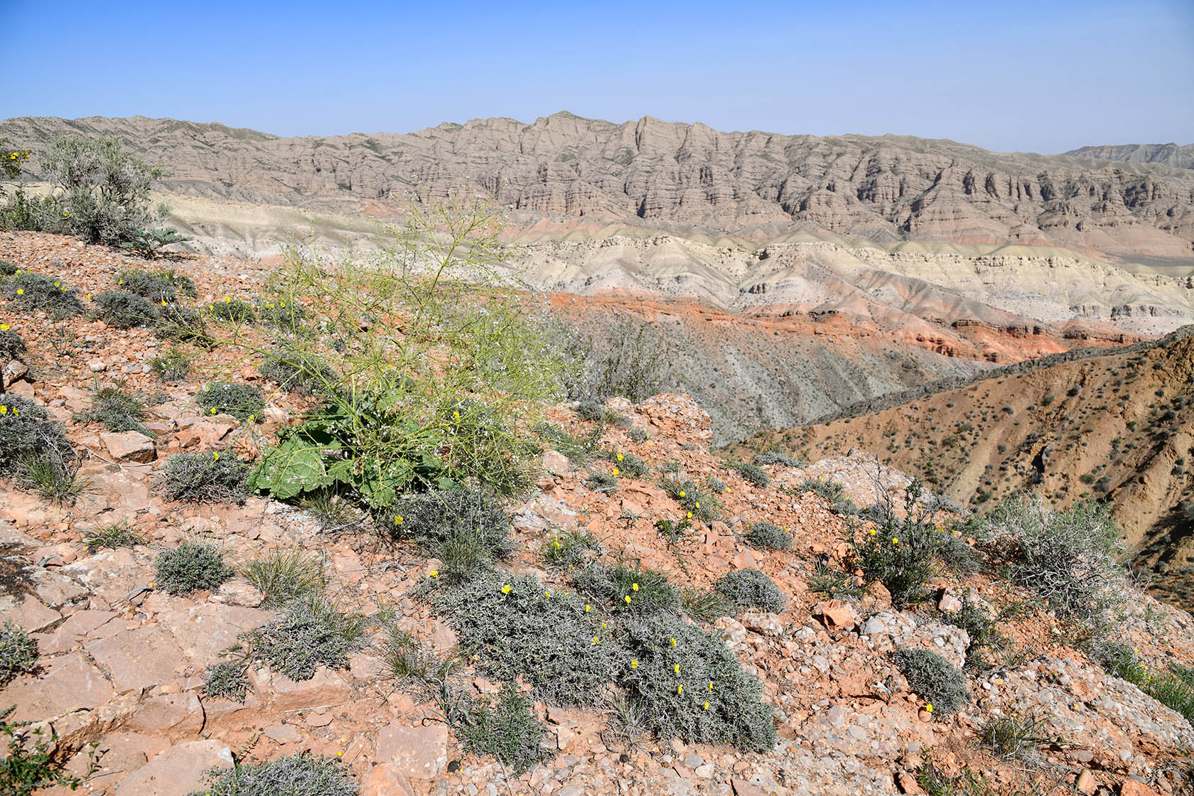 Гальчабаши, image of landscape/habitat.