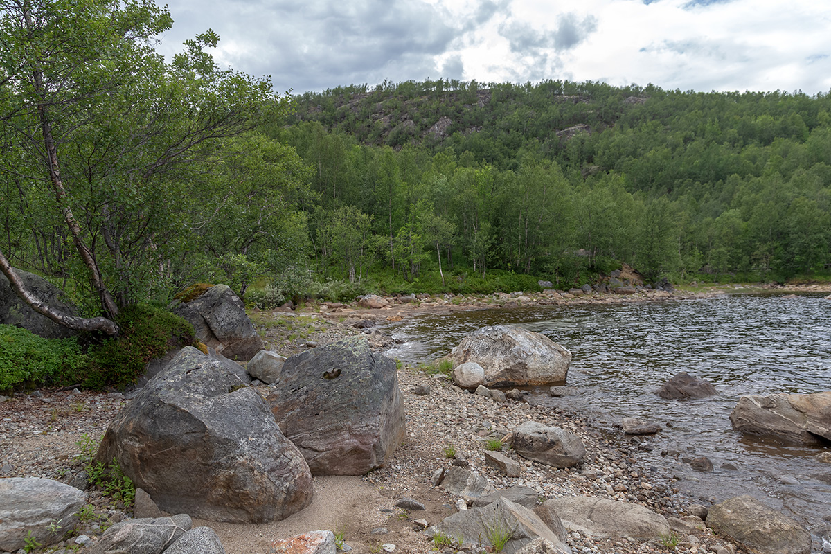 Окрестности Рогозера, image of landscape/habitat.