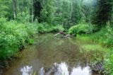 Река Солдатка, image of landscape/habitat.