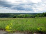 Трахтемиров, image of landscape/habitat.