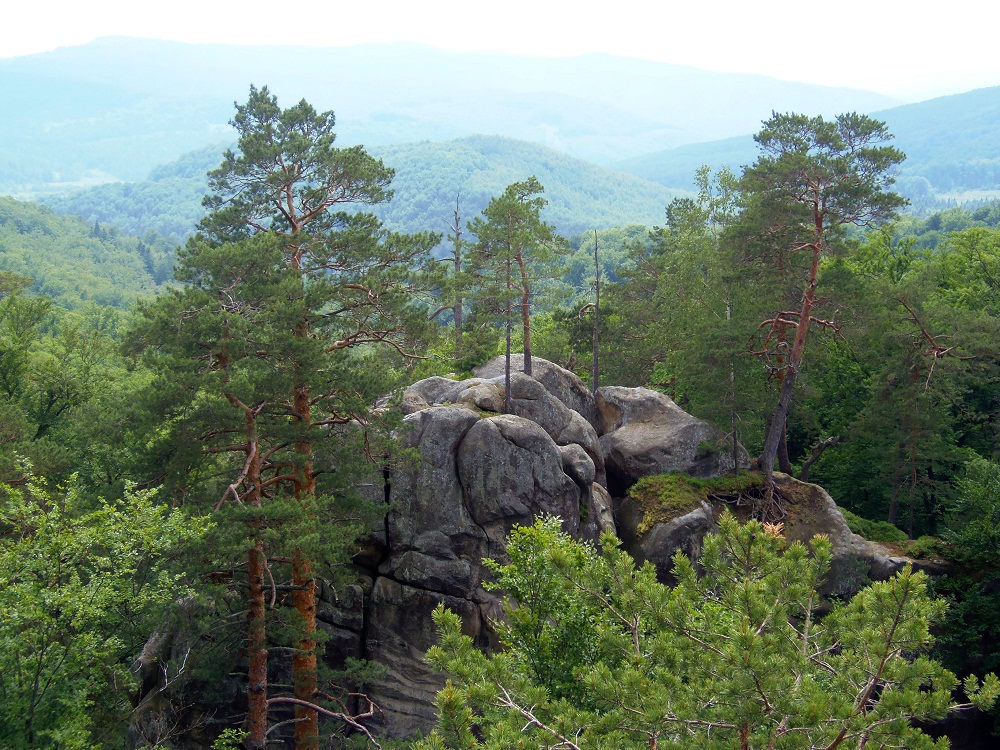 Скалы Довбуша, image of landscape/habitat.