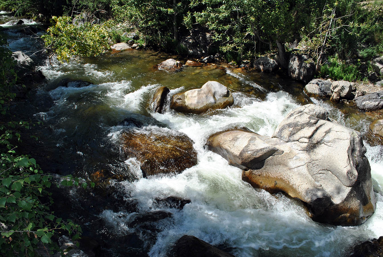 Устье реки Большой Ильгумень, image of landscape/habitat.