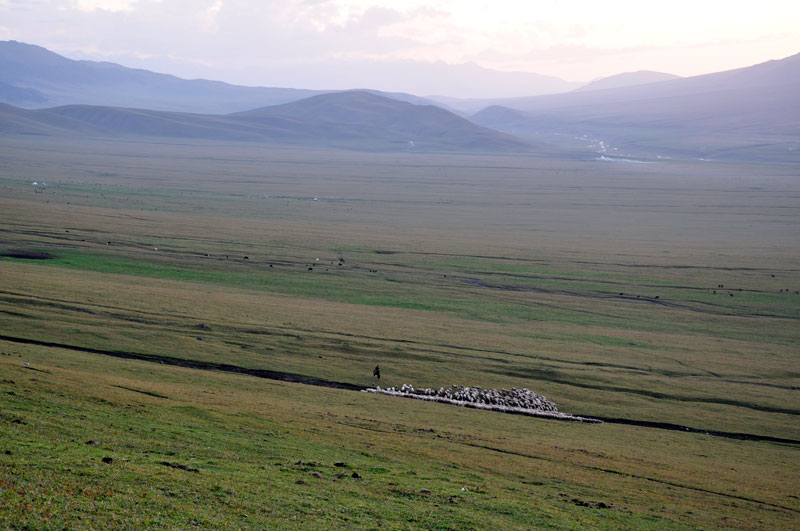 Плато Ассы, image of landscape/habitat.