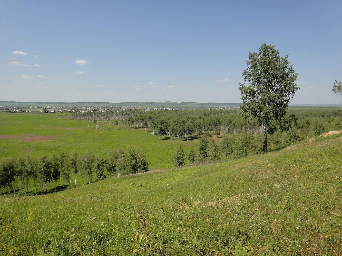 Позднякова, image of landscape/habitat.