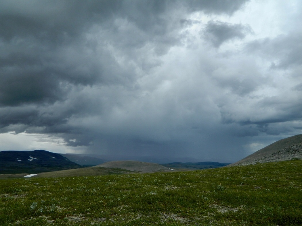 Пызанъиз, image of landscape/habitat.