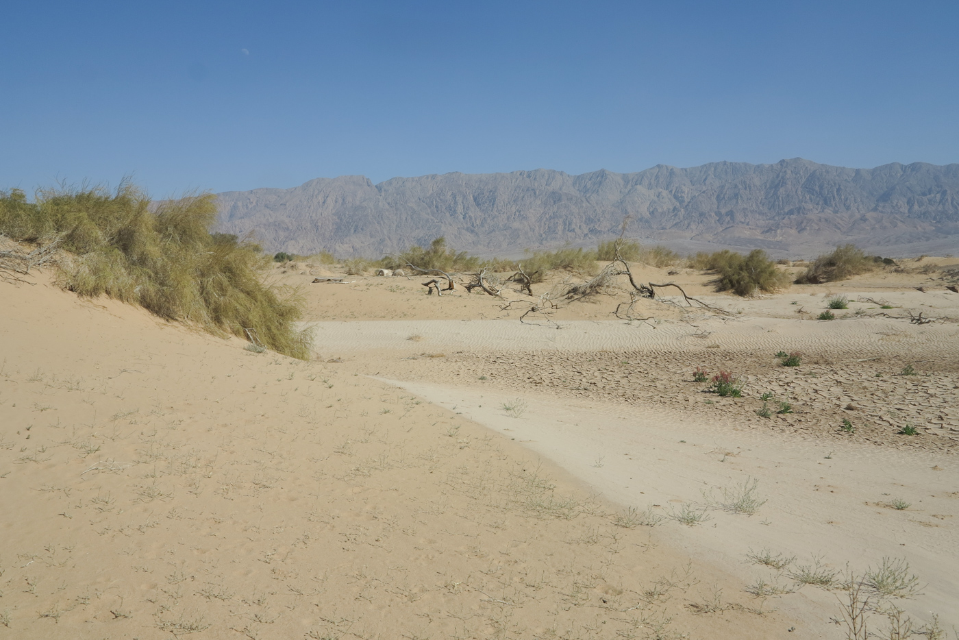 Эмек Арава, image of landscape/habitat.