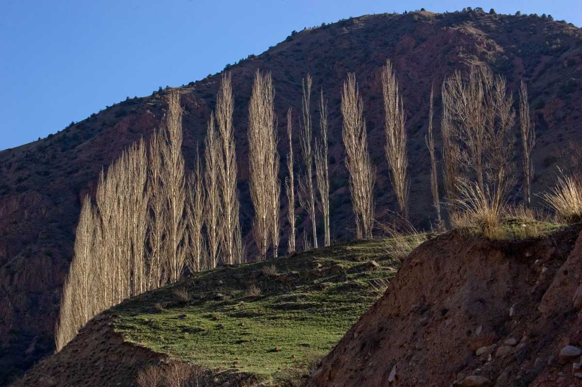 Первый каньон Кекемерена, image of landscape/habitat.