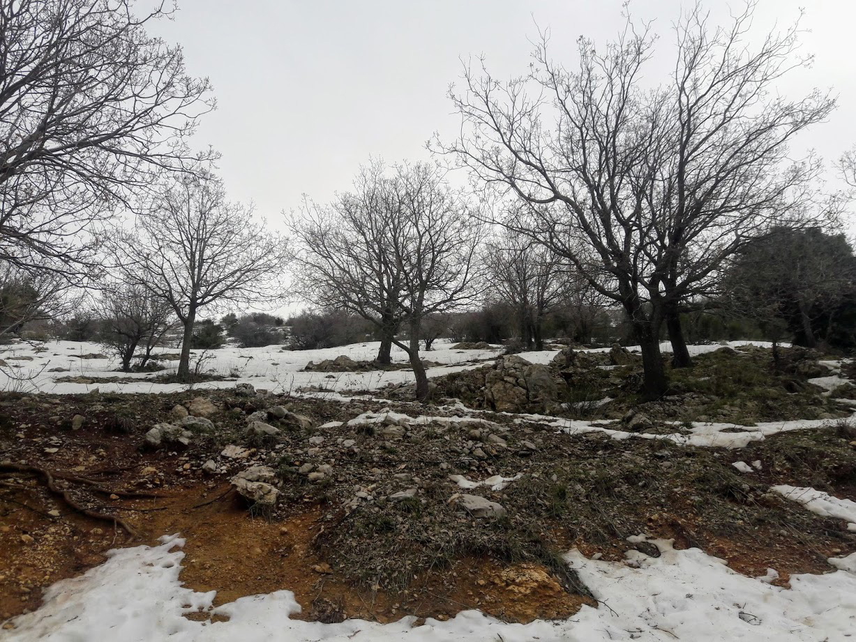 Хермон, image of landscape/habitat.