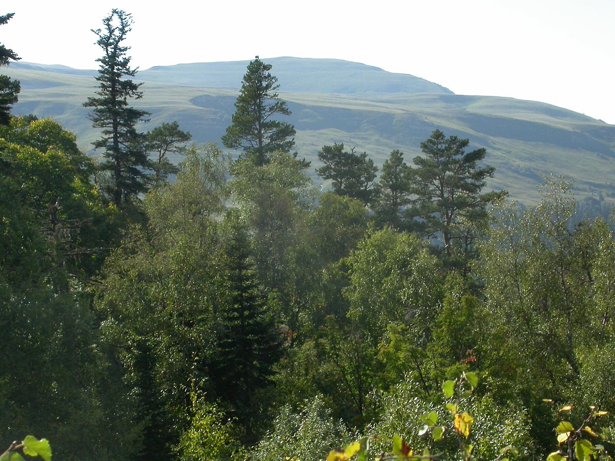 Лагонаки, image of landscape/habitat.