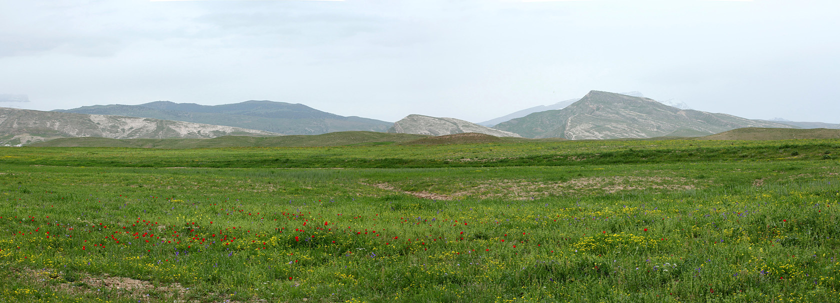 Окрестности селения Даштигаз, image of landscape/habitat.