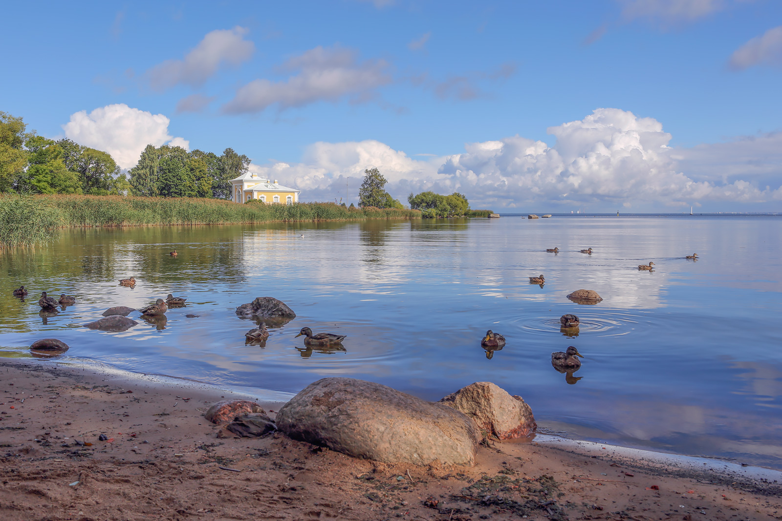 Нижний парк, image of landscape/habitat.