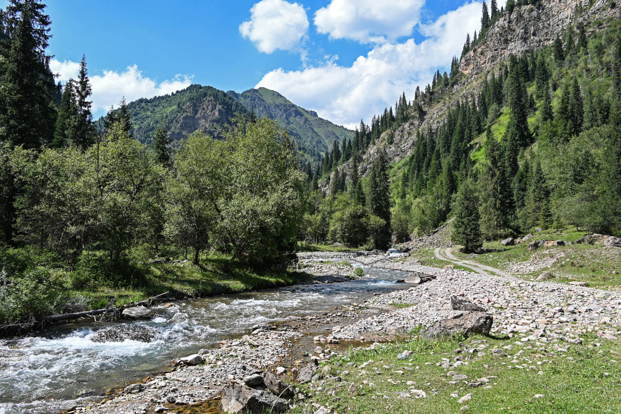 Долина реки Афлатун, image of landscape/habitat.