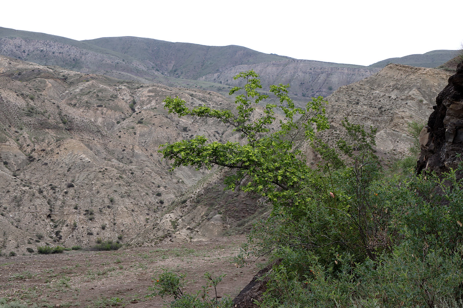 Сулакский каньон, изображение ландшафта.