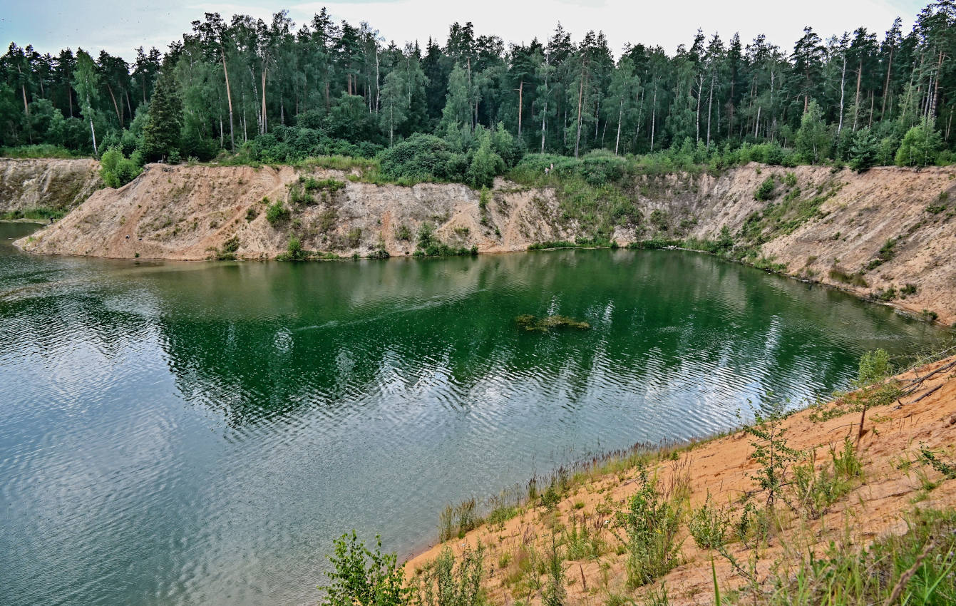 Окрестности СНТ "Купавна", изображение ландшафта.