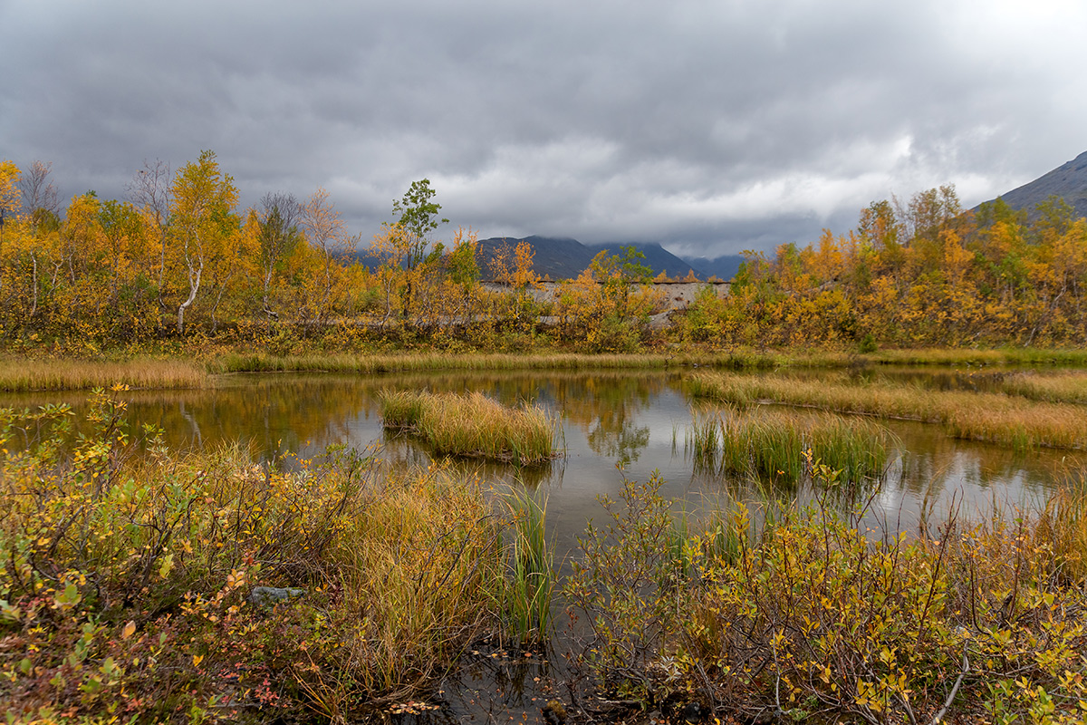 Долина Малого Вудъявра, image of landscape/habitat.