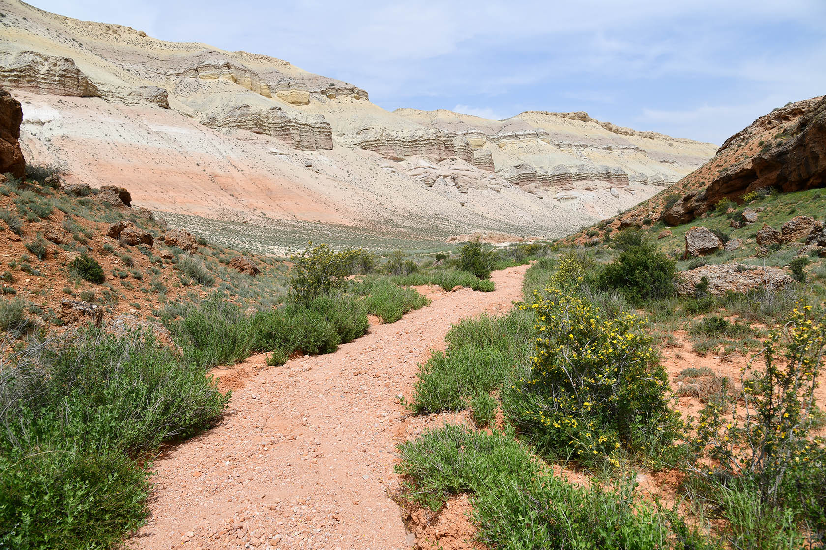 Мадыген, image of landscape/habitat.