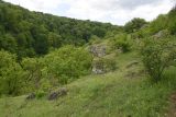 Image of landscape