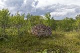 Image of landscape