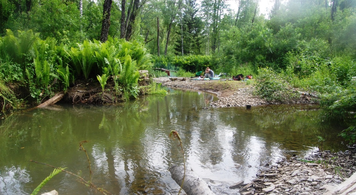 Река Солдатка, image of landscape/habitat.