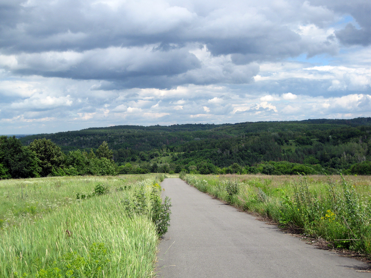 Трахтемиров, image of landscape/habitat.