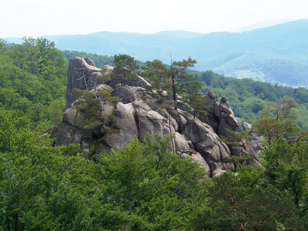 Скалы Довбуша, image of landscape/habitat.