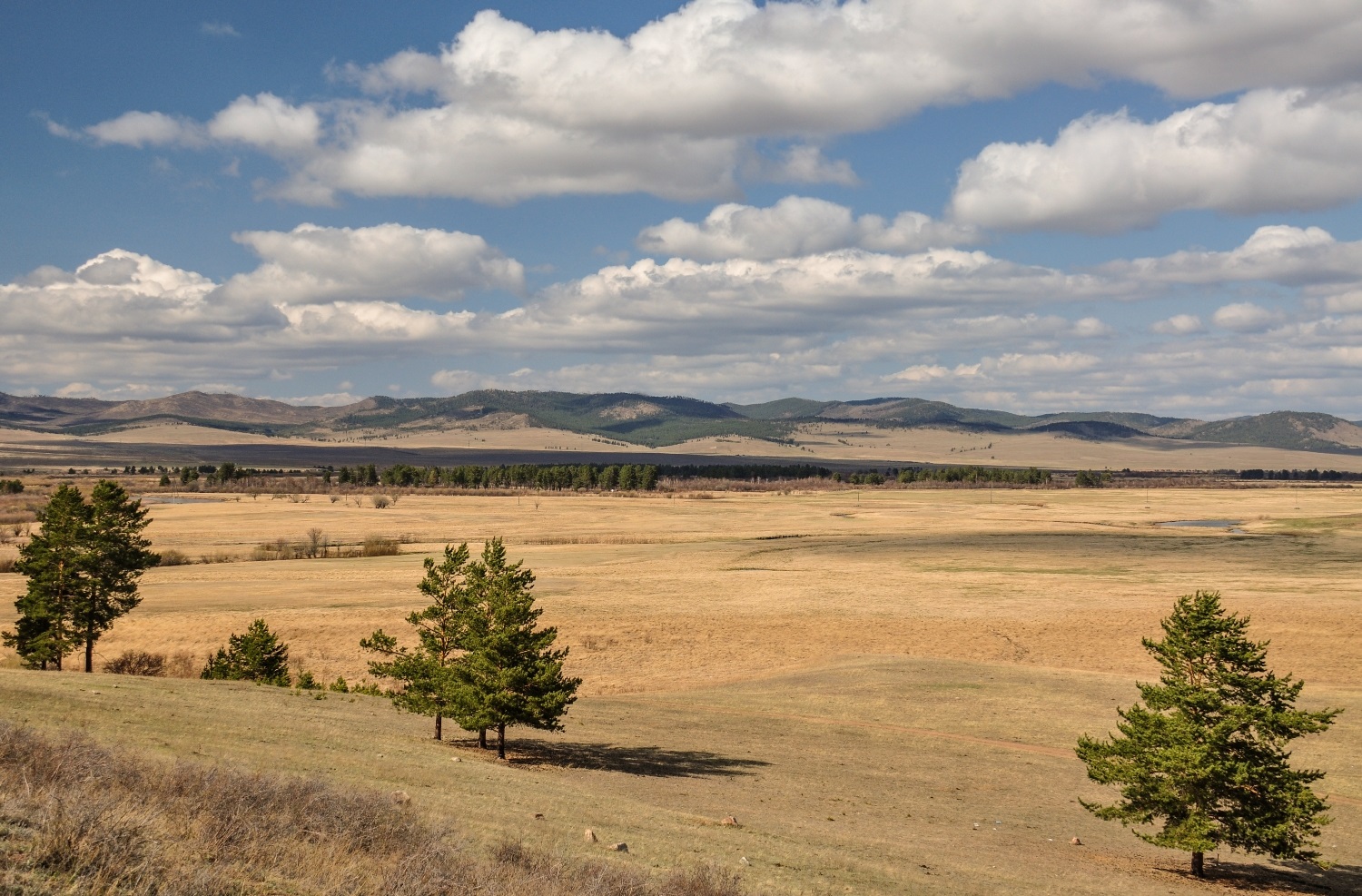 Озеро Тунгэр-Болдок, image of landscape/habitat.