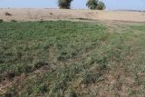 Image of landscape