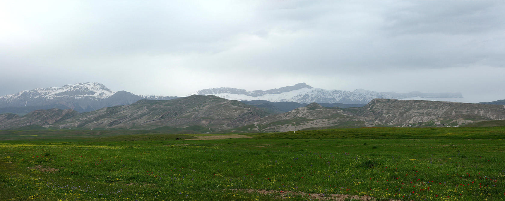 Окрестности селения Даштигаз, image of landscape/habitat.