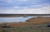 Image of landscape