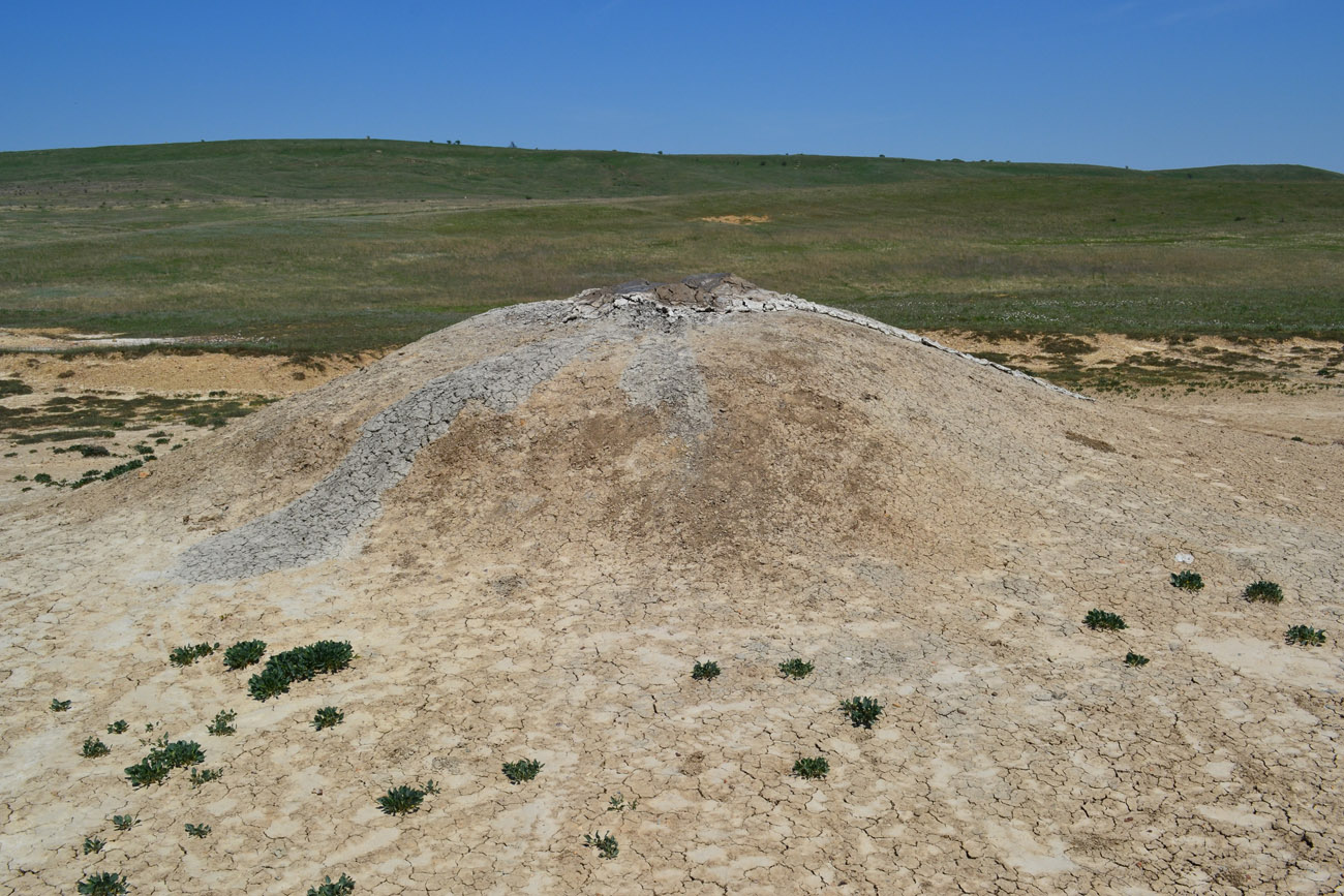 Окрестности села Бондаренково, image of landscape/habitat.