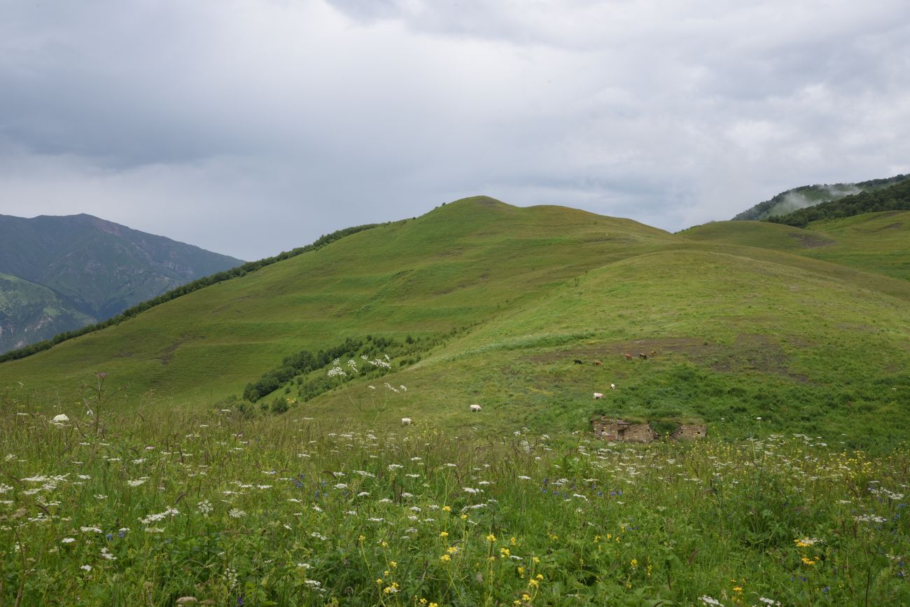 Хиндушты, image of landscape/habitat.