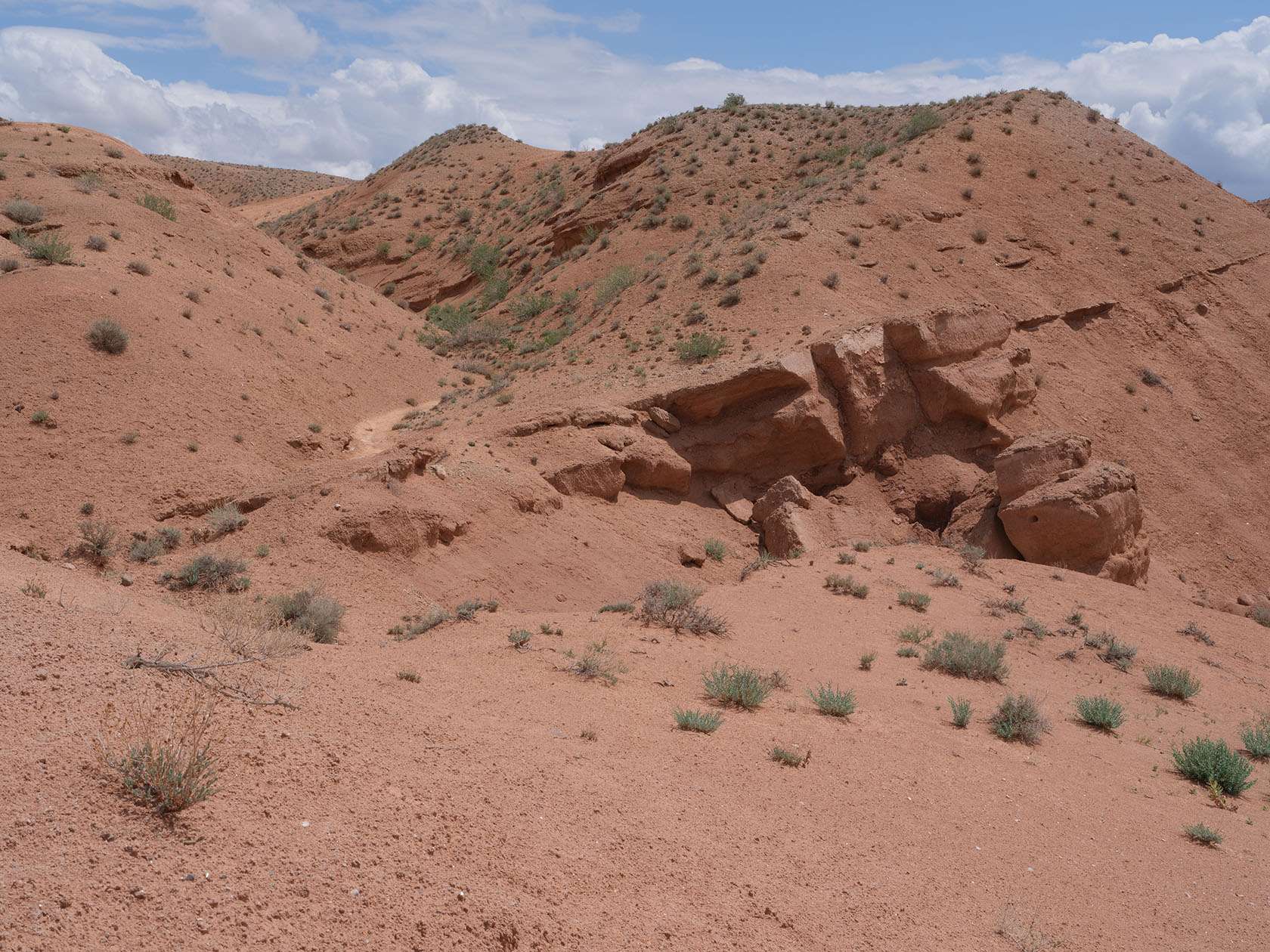 Мадыген, image of landscape/habitat.