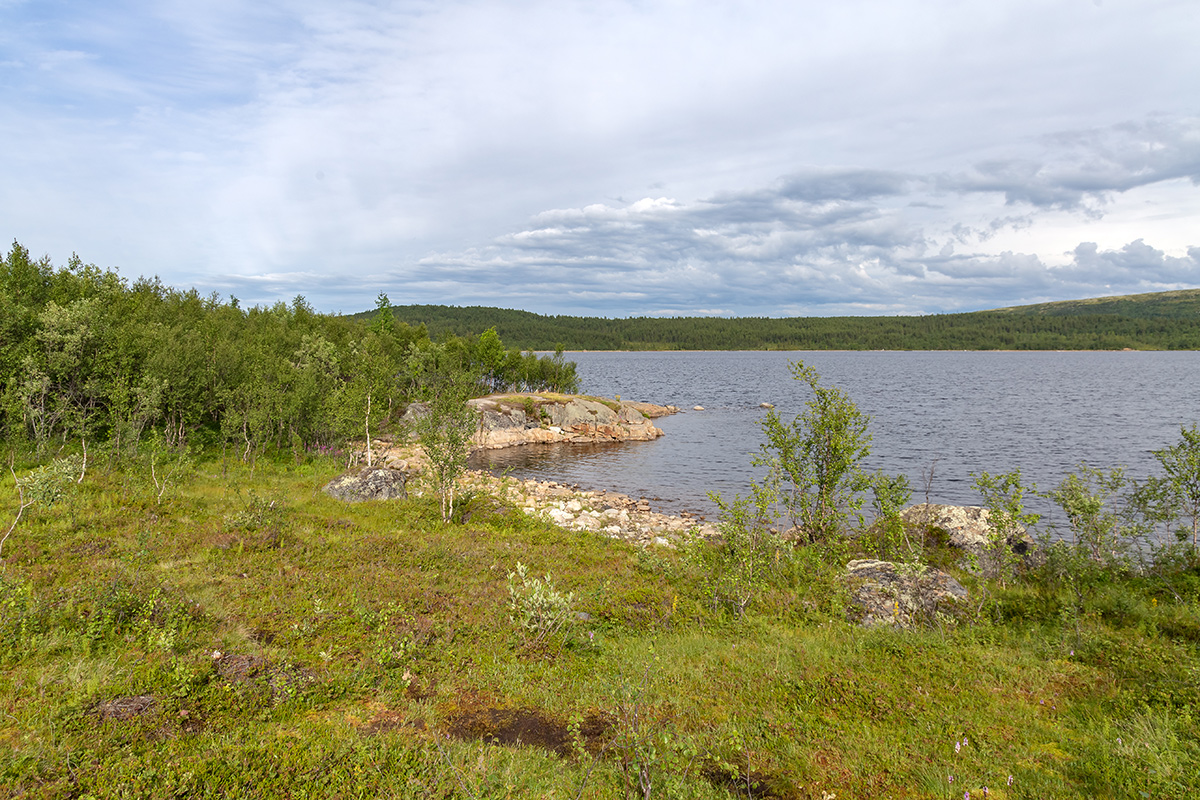 Окрестности Рогозера, image of landscape/habitat.