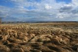 Левый берег реки Волга, image of landscape/habitat.