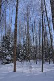 Парк "Сергиевка", image of landscape/habitat.