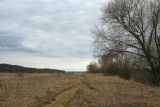 Image of landscape