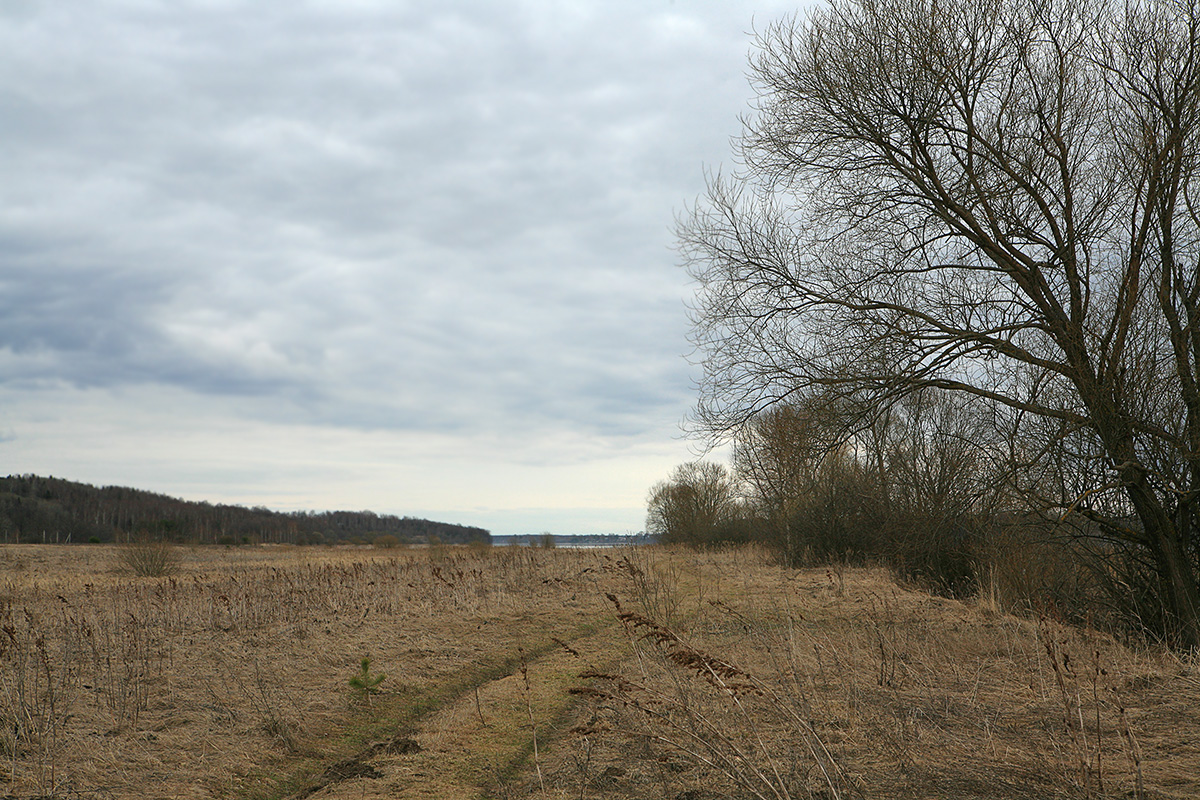 Козловы Горы, image of landscape/habitat.