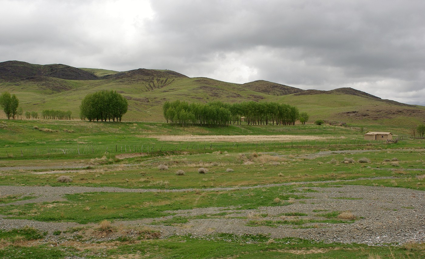 Бесарык, image of landscape/habitat.