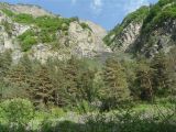 Окрестности села Хрюг, image of landscape/habitat.
