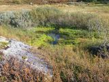 Image of landscape