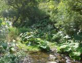 Image of landscape